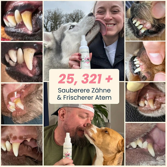 DENTACLEAN® - Hunde/Katzen